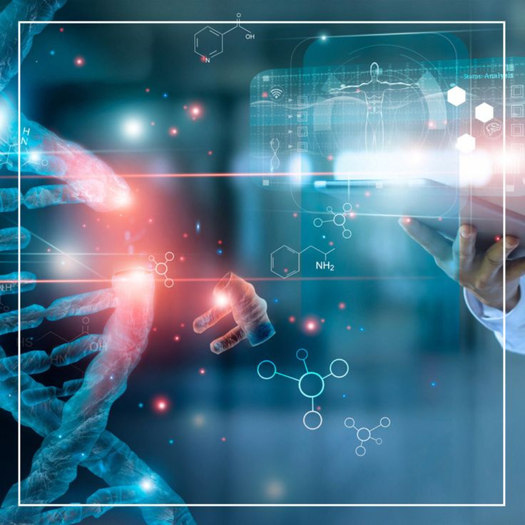 NAD+ & Cellular Energy Optimization Explained